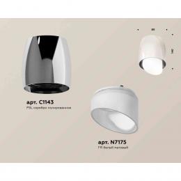 Комплект накладного светильника Ambrella light Techno Spot XS1143021 PSL/FR серебро полированное/белый матовый (C1143, N7175)  купить